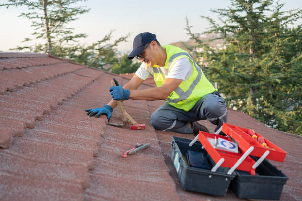 Best Storm Damage Roof Repair  in Schnecksville, PA